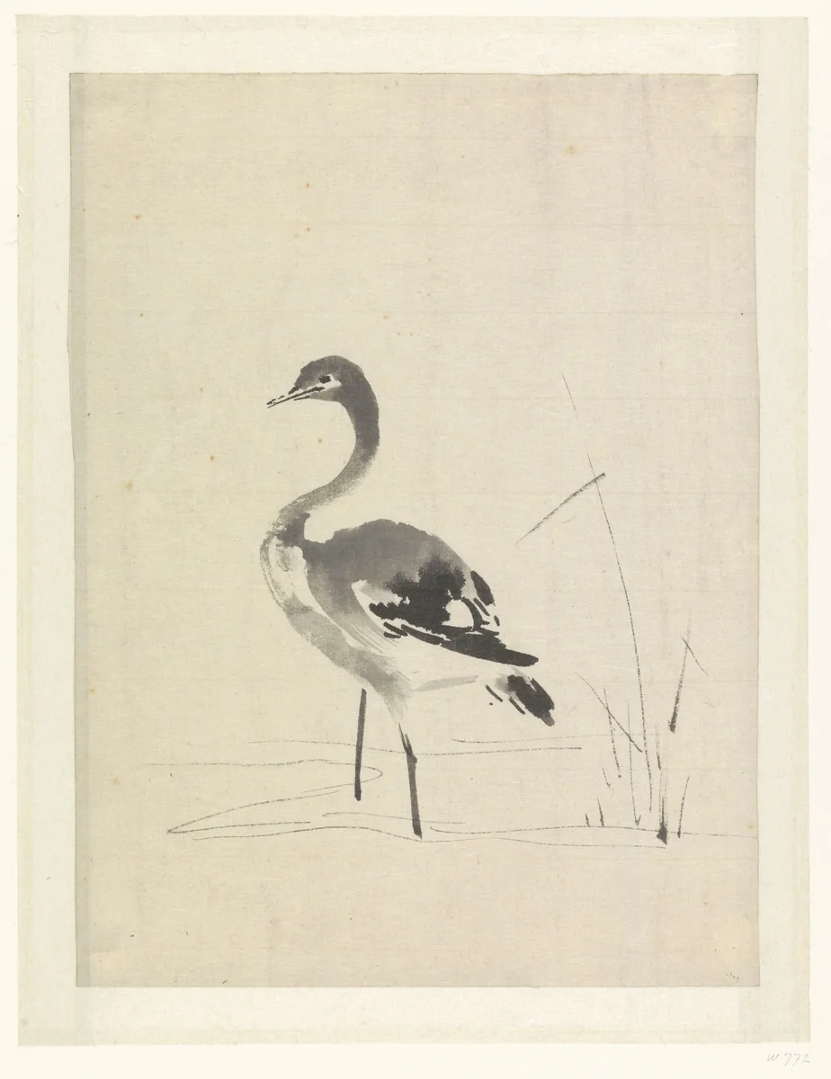 Jonge kraanvogel by anonymous, drawing, 1603-1868