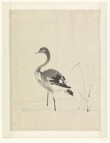 Jonge kraanvogel by anonymous, drawing, 1603-1868