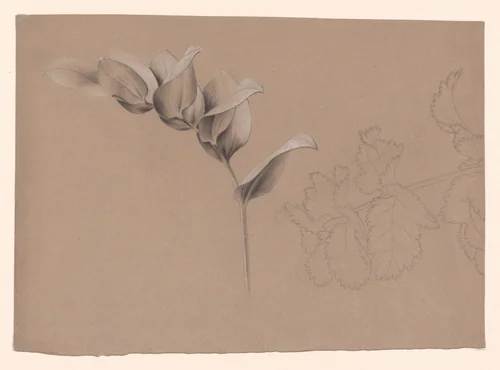 Floral Design by Antoine Berjon, drawing, 1770-1843