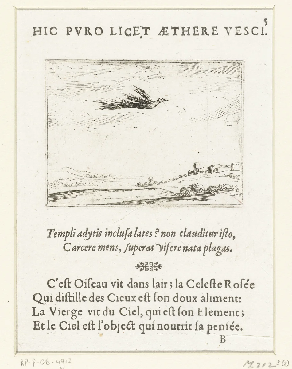 Paradijsvogel by Jacques Callot, print, 1625-1629