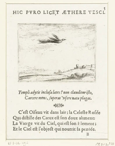 Paradijsvogel by Jacques Callot, print, 1625-1629