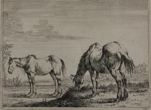 Grazing Horse, plate three from Series of Horses by Dirck Stoop, print, 1651