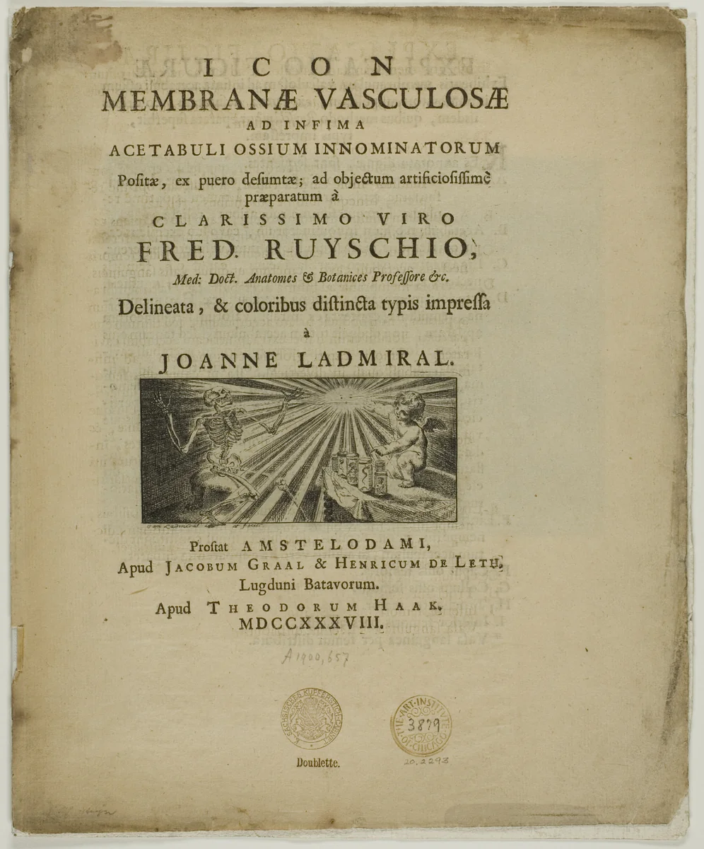 Icon membrane vasculosae by Jan l' Admiral, print, 1738