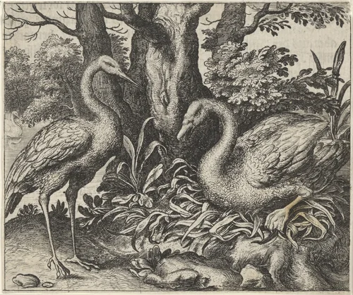 Fabel van de zwaan en de ooievaar by Aegidius Sadeler, print, 1608