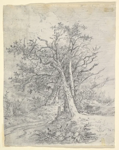 Study for Tree Trunks and Lane by John Crome, drawing, 1807-1817