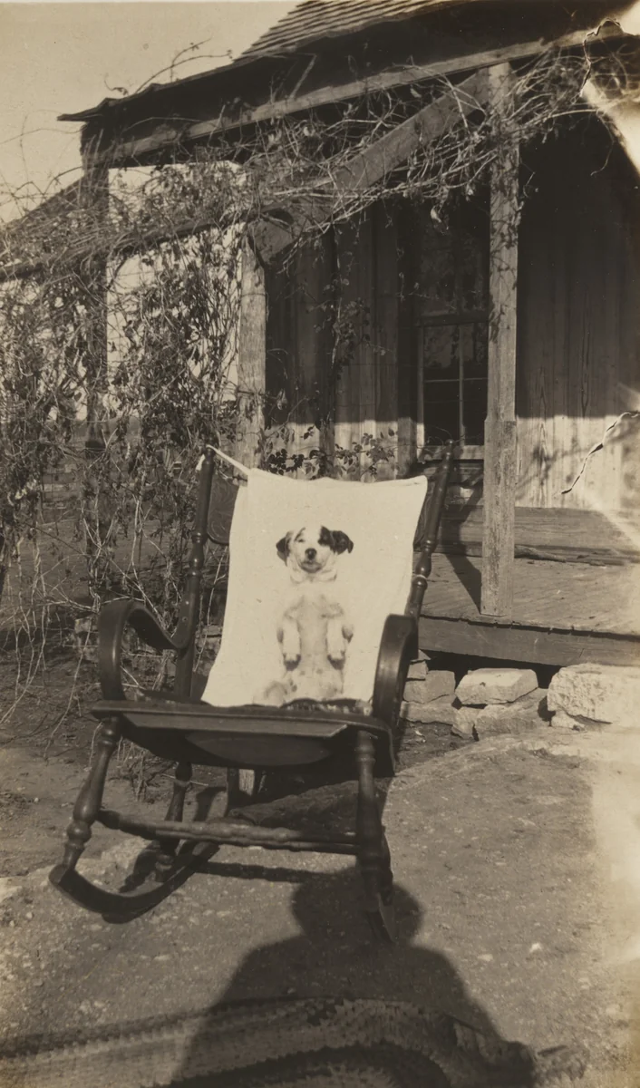 Untitled by Unidentified Photographer, photograph, 1910