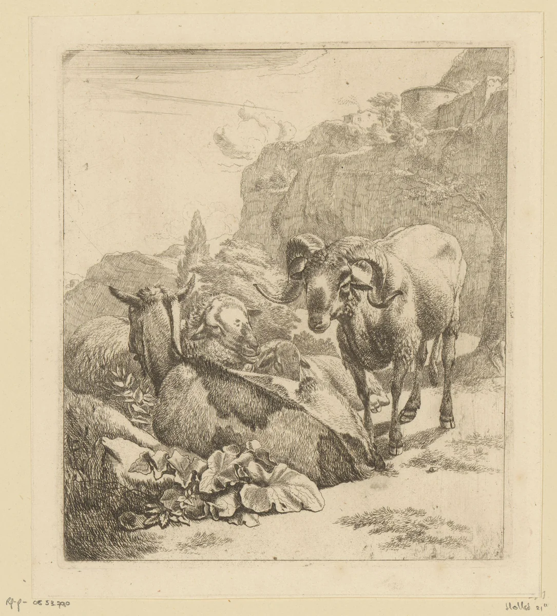 Staand ram, liggende geit en twee schapen by Johann Heinrich Roos, print, 1668-1670
