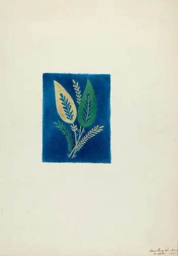 Skirt Design by Ann Gene Buckley, index of american design, 1937