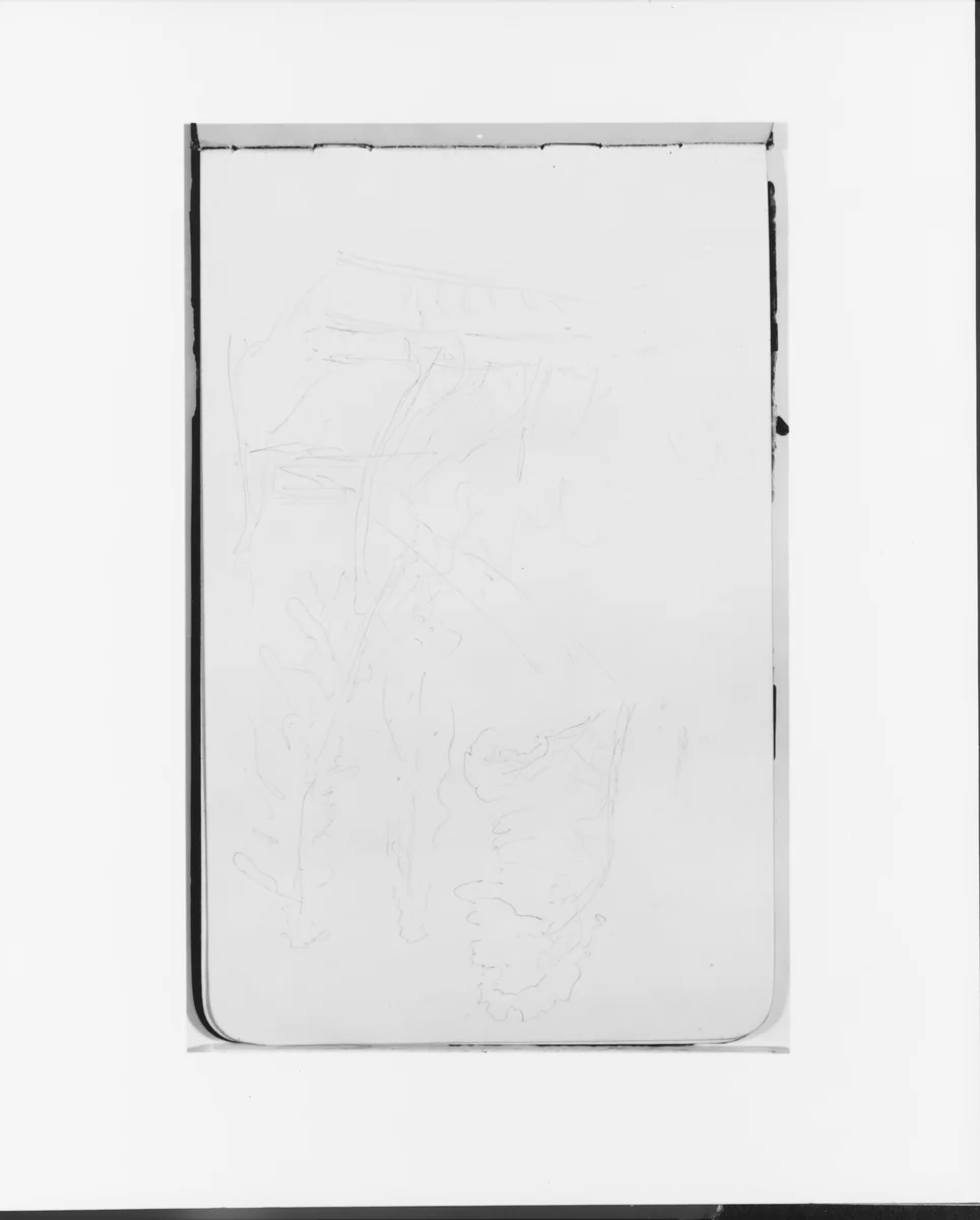 Sketches of Trees (from Sketchbook) by Albert Bierstadt, artwork, 1890