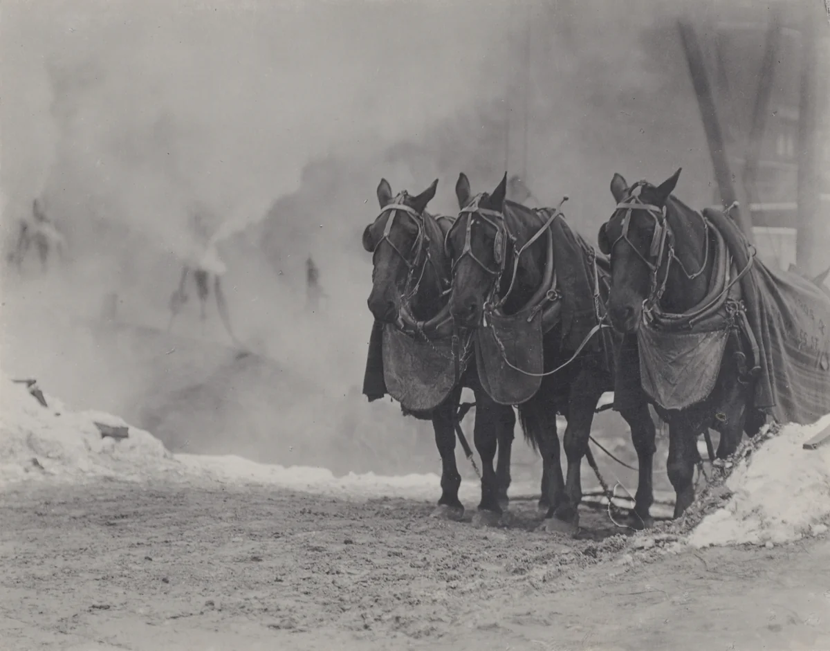 Horses, New York by Alfred Stieglitz, photograph, 1911