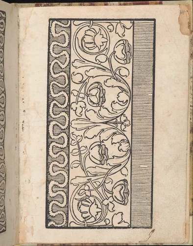 Ein new getruckt model Büchli...Page 24, recto by Johann Schönsperger, book, 1529