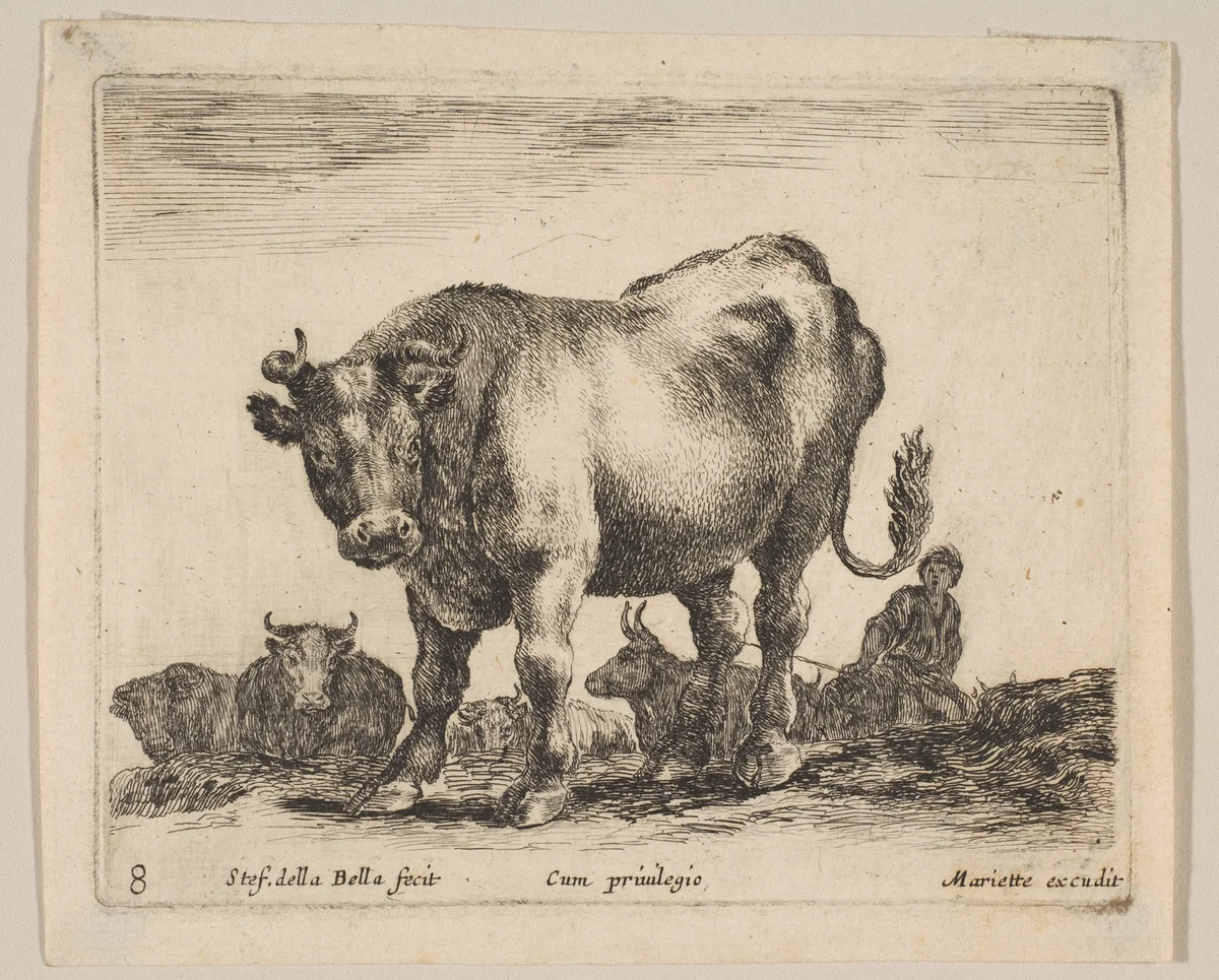 Plate 8: Ox, from "Various animals" (Diversi animali) by Stefano della Bella, print, 1636-1646
