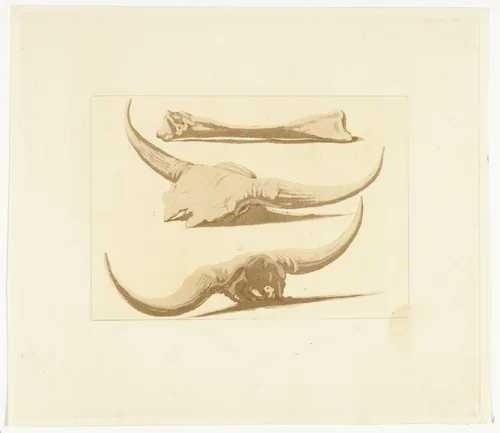 Beenderen van een os by Anthonie van den Bos, print, 1809-1810
