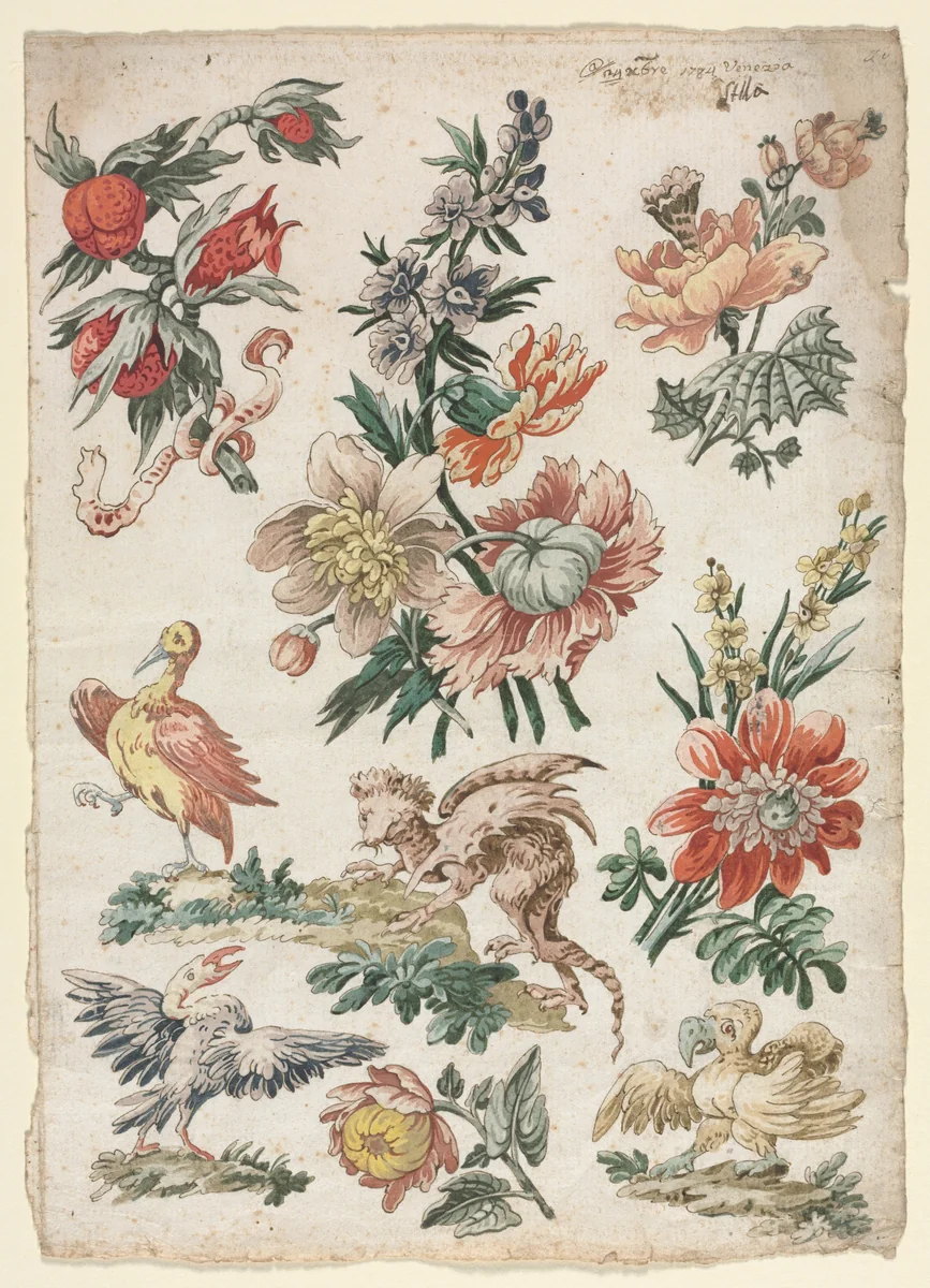 Floral Designs with Birds and Griffon by Giacomo Cavenezia, drawing, 1784