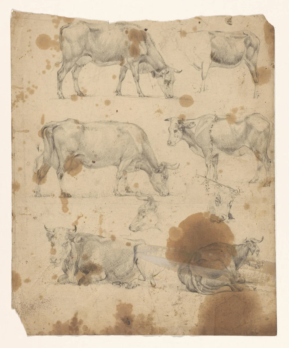 Blad met acht studies van koeien by Jan Bedijs Tom, drawing, 1823-1894