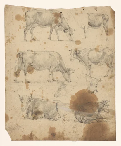 Blad met acht studies van koeien by Jan Bedijs Tom, drawing, 1823-1894