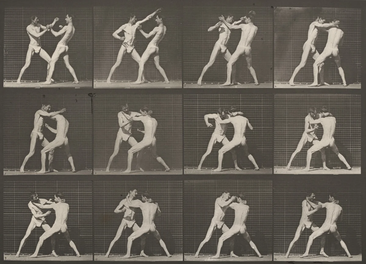 Plate Number 340. Boxing, open hand by Eadweard Muybridge, photograph, 1887