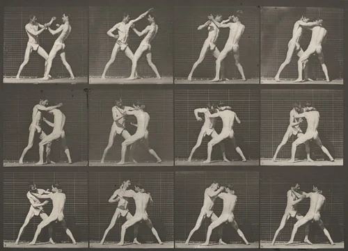 Plate Number 340. Boxing, open hand by Eadweard Muybridge, photograph, 1887
