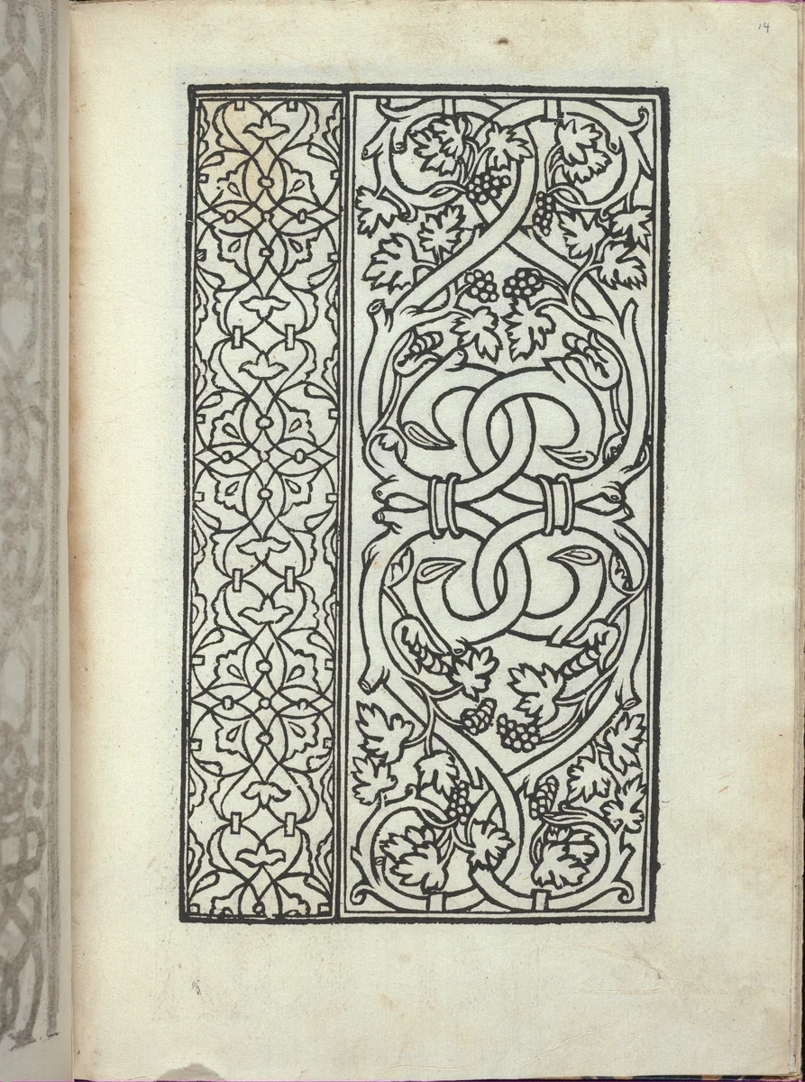 Libro quarto. De rechami per elquale se impara in diuersi modi lordine e il modo de recamare...Opera noua, page 14 (recto) by Alessandro Paganino, book, 1532