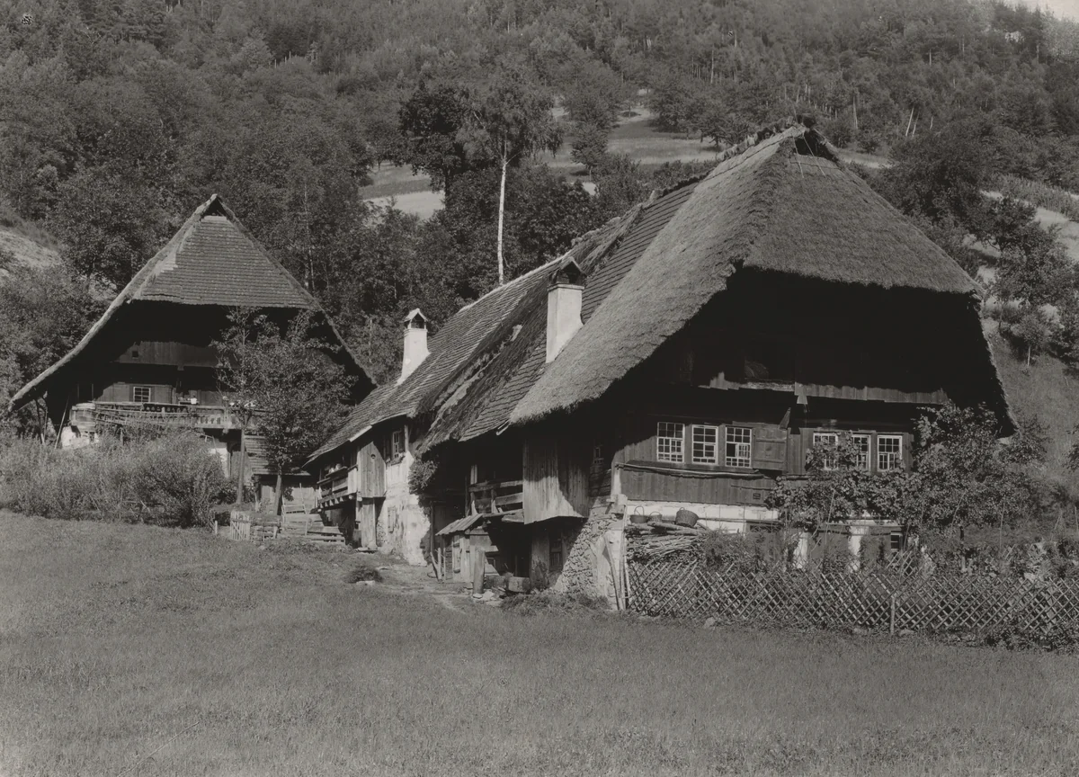 Black Forest House by Alfred Stieglitz, photograph, 1894