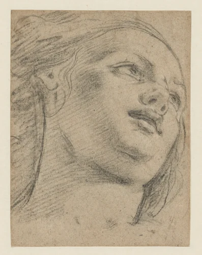 Female Head Study Looking Up to Right (recto); Study of Two Figures Supporting an Object (verso) by Guido Reni, artwork, 1630-1670