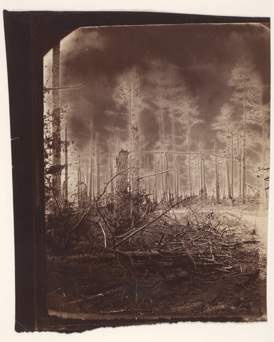 [The Wilderness Battlefield] by G. O. Brown, photograph, 1866