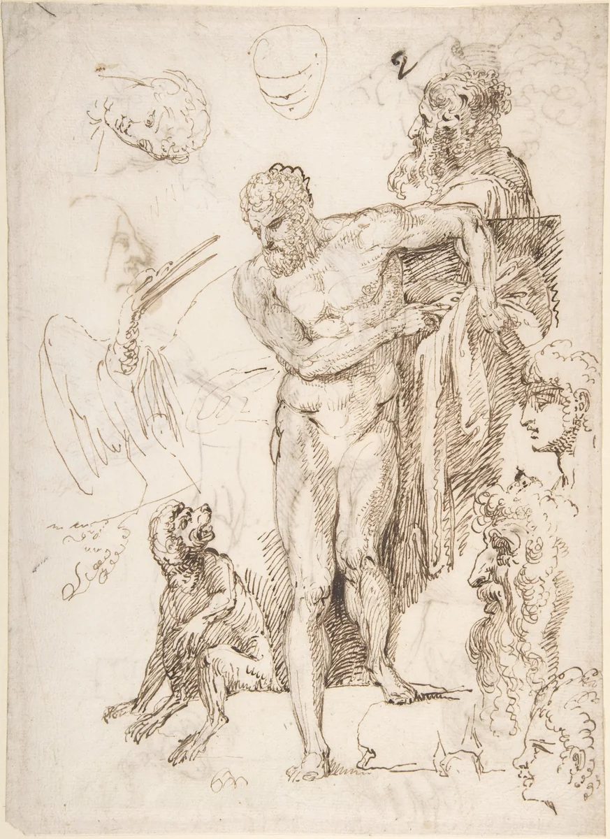 Studies and Sketches for Figures: Standing Male Nude in Frontal View, Male Heads, Seated Monkey, and a Long-Beaked Bird (a Stork?) (recto); Figure Studies: Back View of Standing Male and Female Heads, a Flying Long-Beaked Bird, etc. (verso) by Agostino Carracci, drawing, 1557-1602