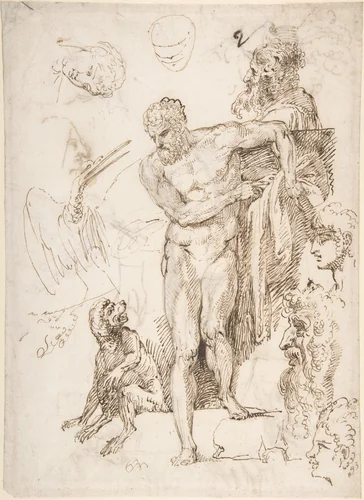 Studies and Sketches for Figures: Standing Male Nude in Frontal View, Male Heads, Seated Monkey, and a Long-Beaked Bird (a Stork?) (recto); Figure Studies: Back View of Standing Male and Female Heads, a Flying Long-Beaked Bird, etc. (verso) by Agostino Carracci, drawing, 1557-1602