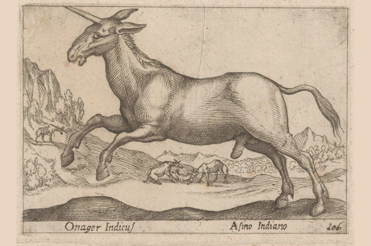 Eenhoornige ezel by Antonio Tempesta, print, 1565-1630