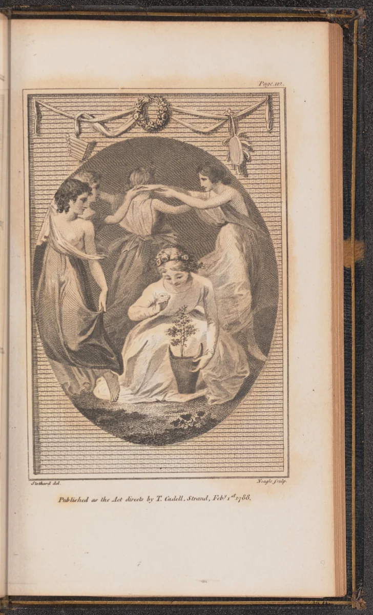 Illustration for Canto V by James Neagle
Thomas Stothard
William Blake
Mary Ann Flaxman
Cadell & Davies, print, 1788