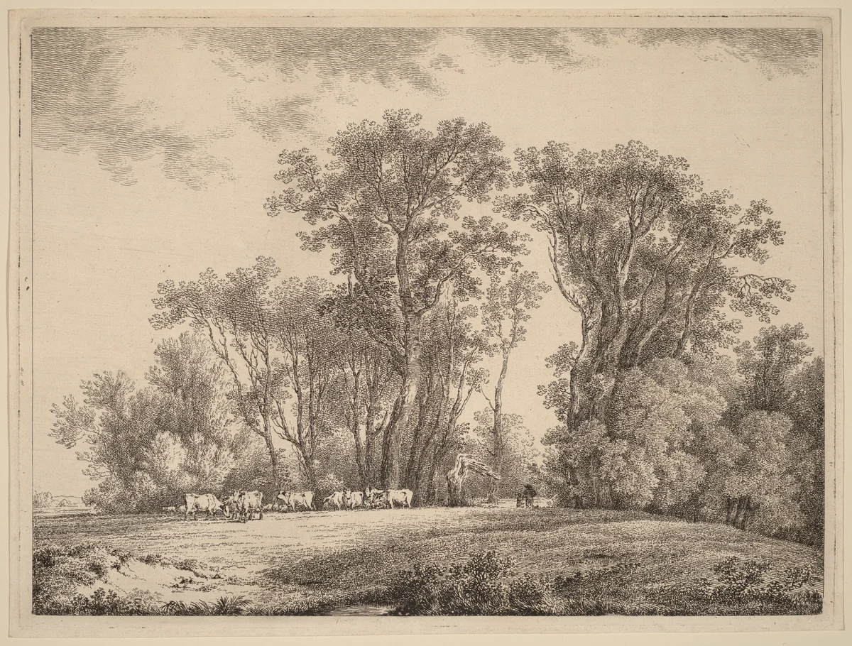A Meadow with Cattle at the Edge of a Wood by Martin von Molitor, print, 1759-1812
