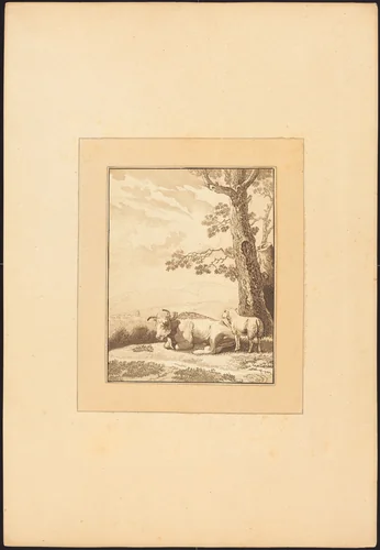 Cow Resting by Regina Schönecker; Karel Dujardin, portfolio, 1782-1785