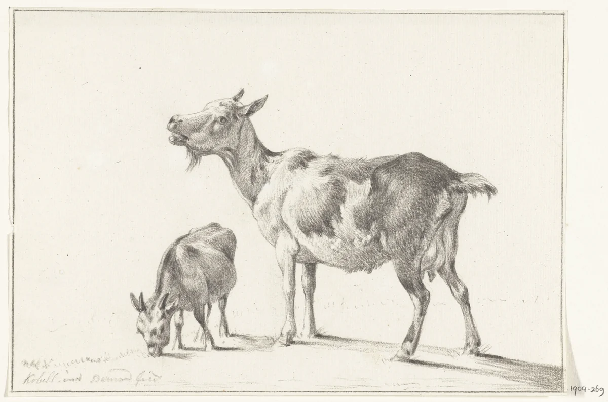 Geit met jong by Jean Bernard, drawing, 1775-1833