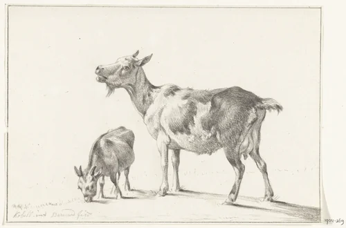 Geit met jong by Jean Bernard, drawing, 1775-1833