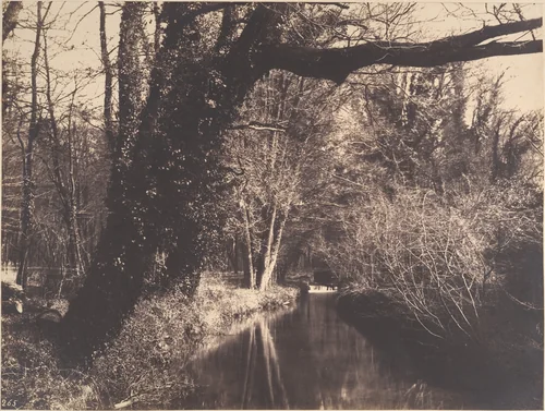 Parc de Courances by Eugène Cuvelier, photograph, 1860-1870