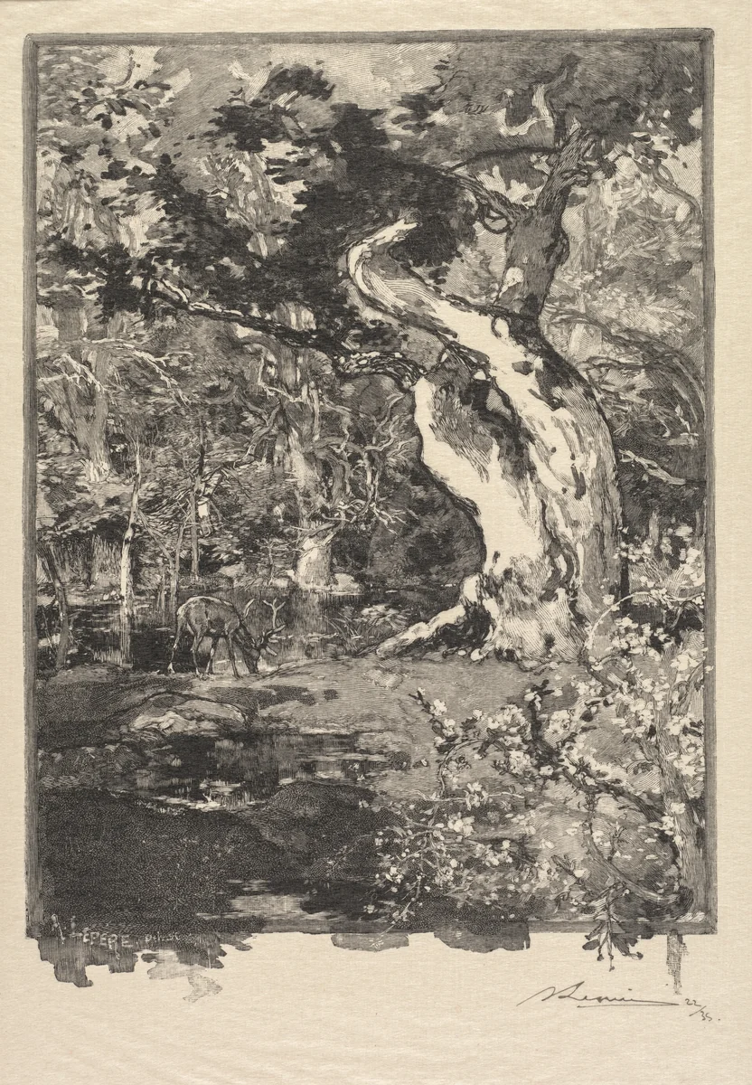 Fontainebleau Forest: Le Clovis, Plateau de Bellecroix (La Forêt de Fontainebleau: Plateau de Belle-Çroix, le Clovis) by Auguste Louis Lepère, book, 1890