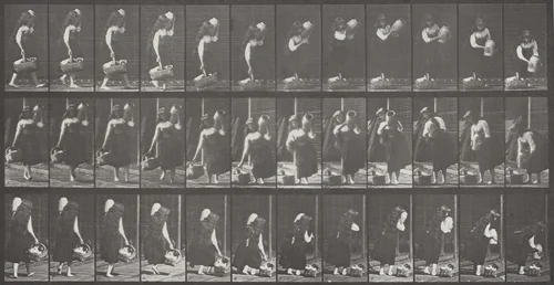 Plate Number 460. Carrying a jar on shoulder and basket in hand and placing them on the ground by Eadweard Muybridge, photograph, 1887