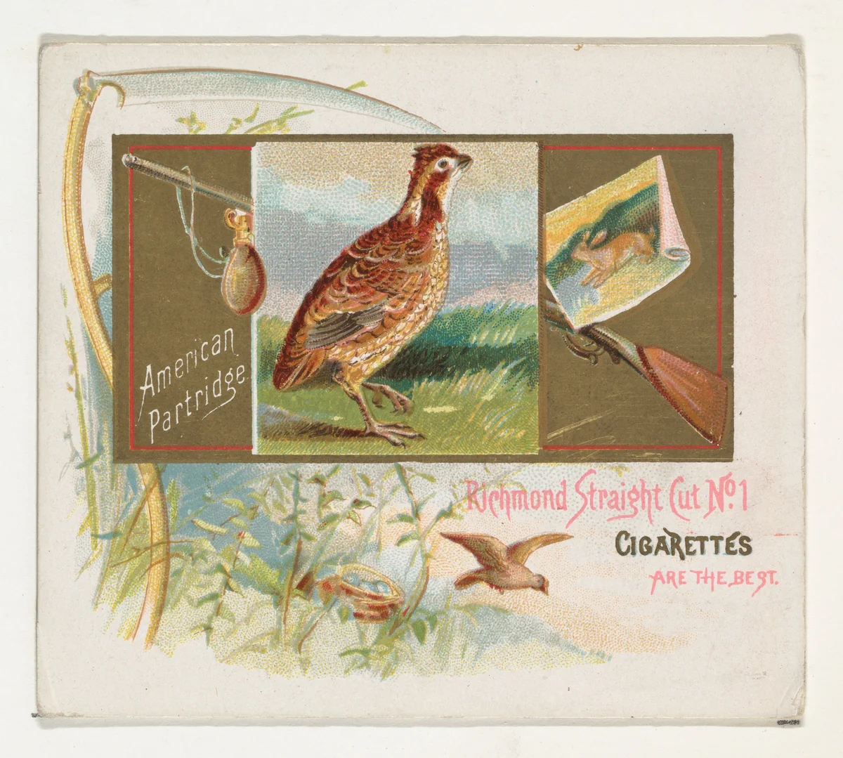 American Partridge, from the Game Birds series (N40) for Allen & Ginter Cigarettes by Allen & Ginter, print, 1888-1890