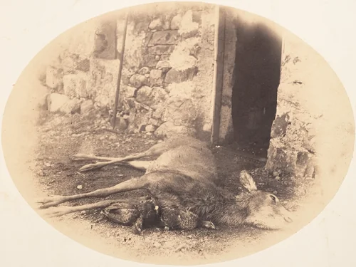 [Dead Female Deer and Game Bird] by Horatio Ross, photograph, 1856-1859