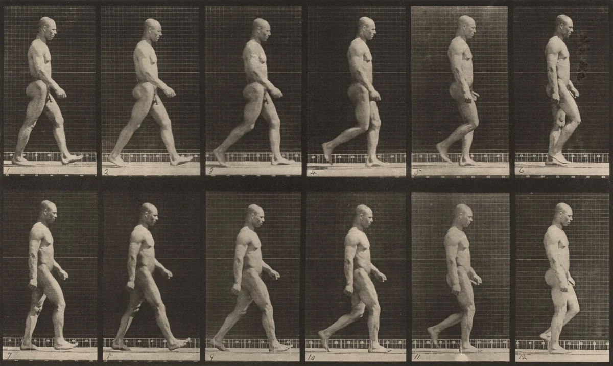 Plate Number 6. Walking by Eadweard Muybridge, photograph, 1887