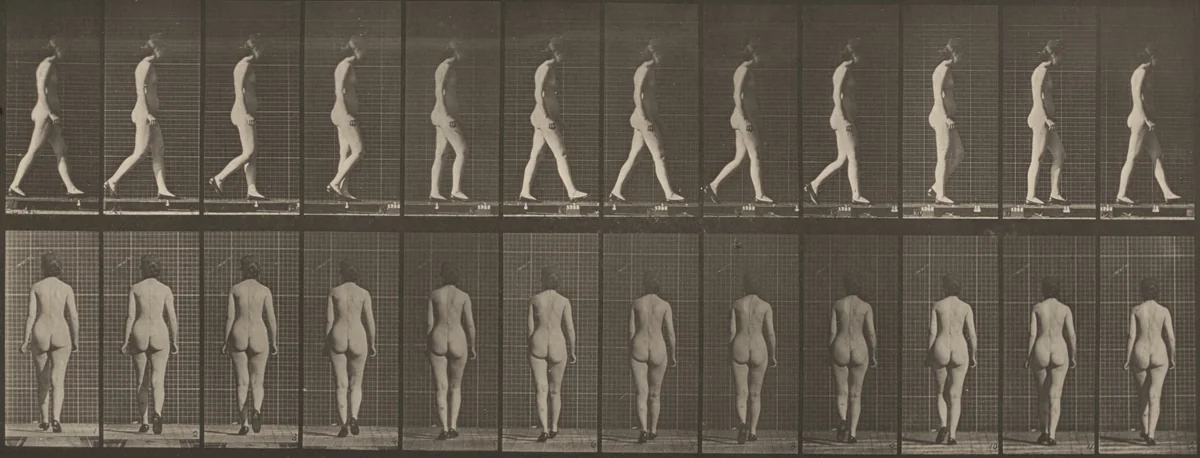 Plate Number 25. Walking with shoes on by Eadweard Muybridge, photograph, 1887