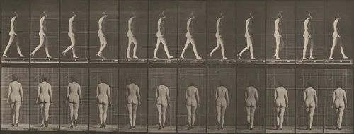 Plate Number 25. Walking with shoes on by Eadweard Muybridge, photograph, 1887