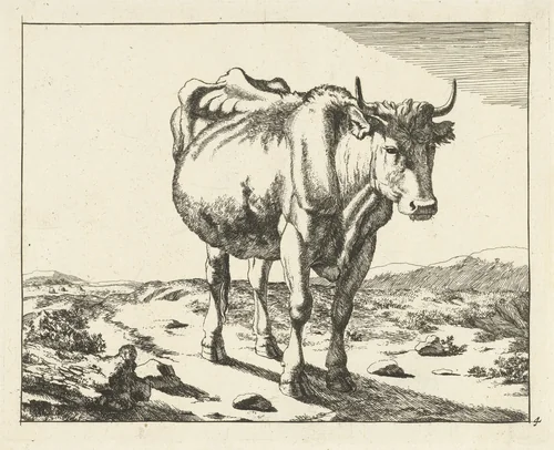Staande koe, van voren gezien by Marcus de Bye, print, 1657-1677