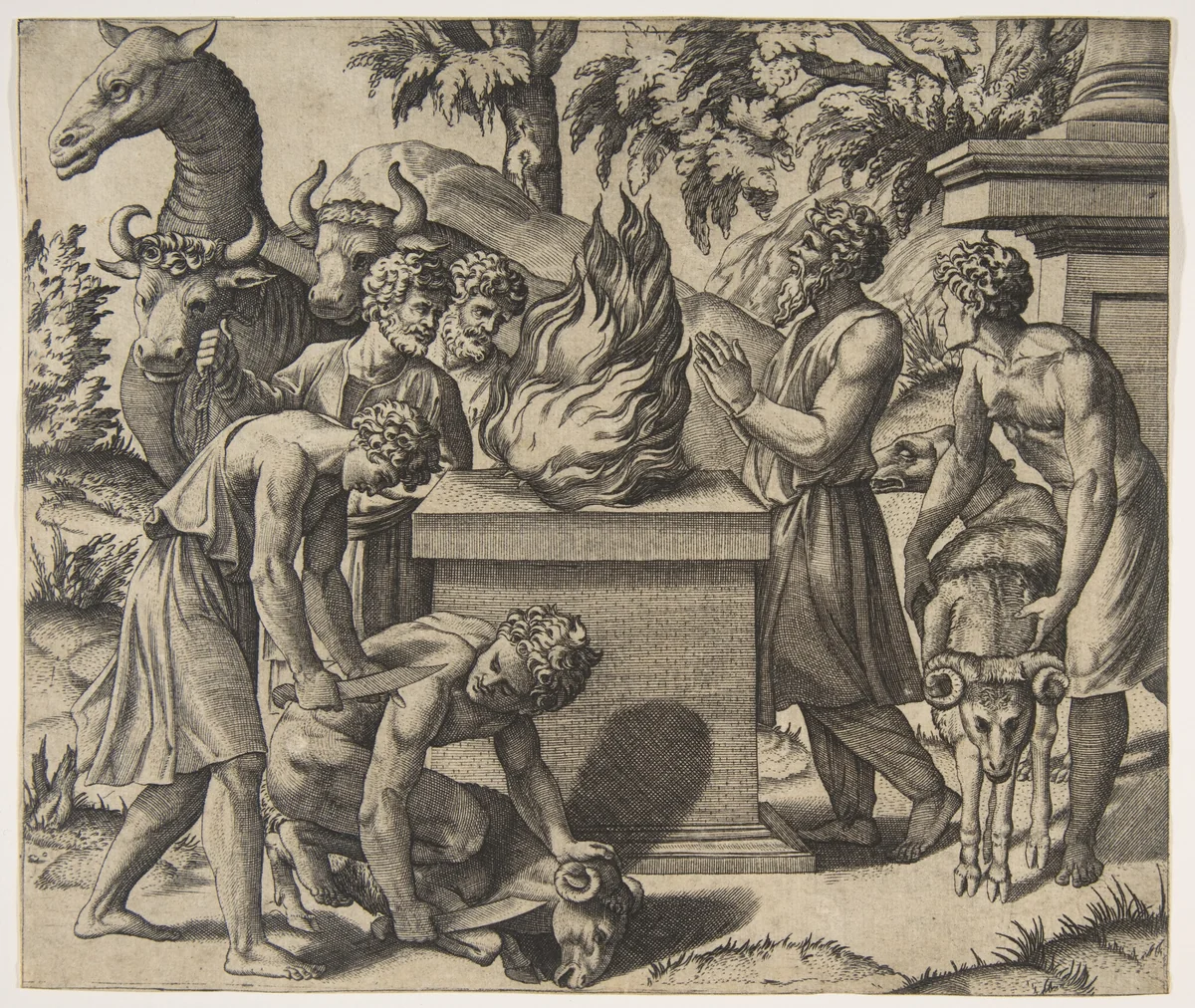 Noah's Sacrifice; Noah at right with his hands clapsed in prayer before a fire upon an altar, two men sacrificing a ram on the ground and another bringing a second ram, two men leading two cows and a camel behind the fire by Marco Dente, print, 1510-1532
