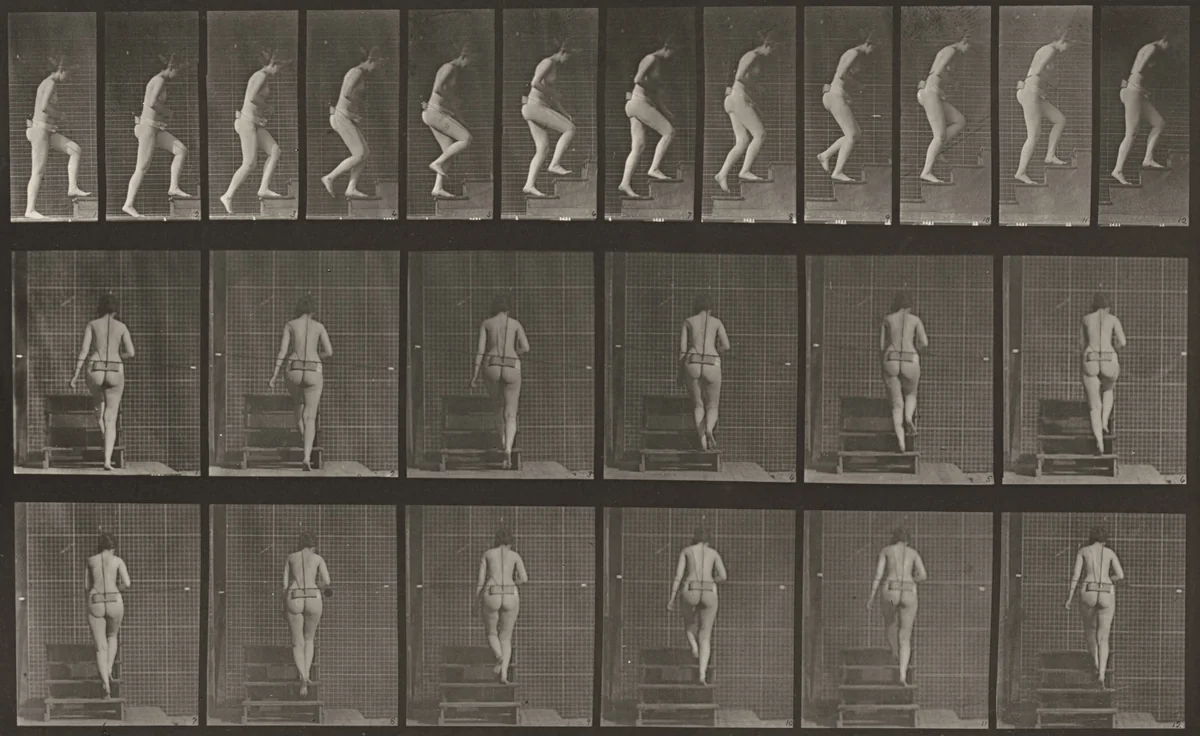 Plate Number 93. Ascending stairs by Eadweard Muybridge, photograph, 1887