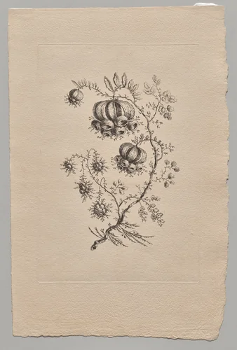 Persian Flowers by Jean Baptiste Pillement, print, 1755