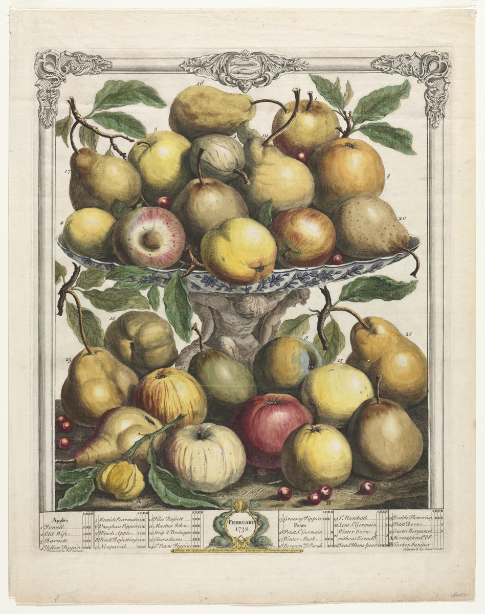 Twelve Months of Fruit: February by Henry Fletcher, print, 1732