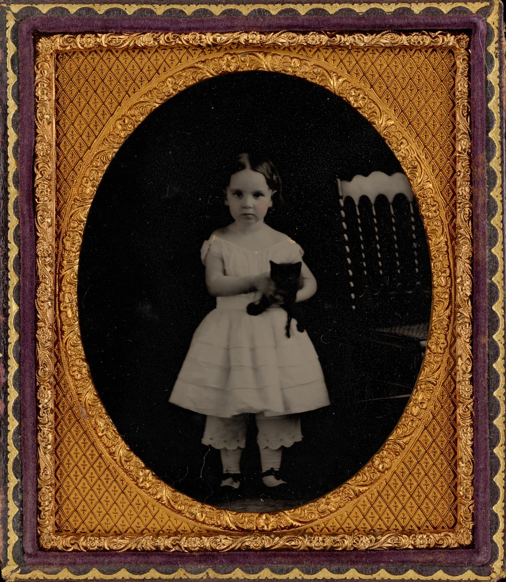 Portrait of a Girl and Cat by American 19th Century, photograph, 1857-1867