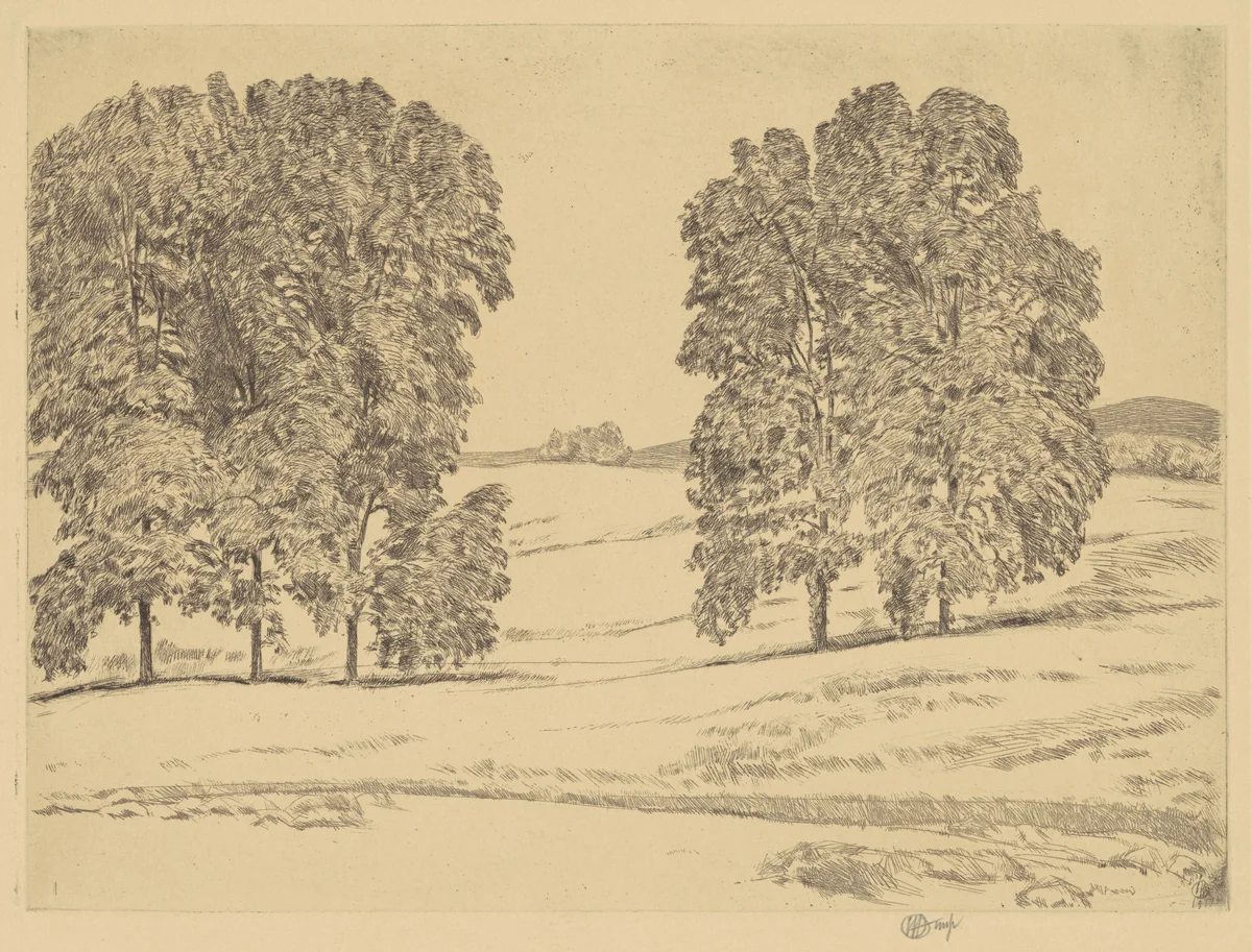 Hickories in a Hayfield by Childe Hassam, print, 1917