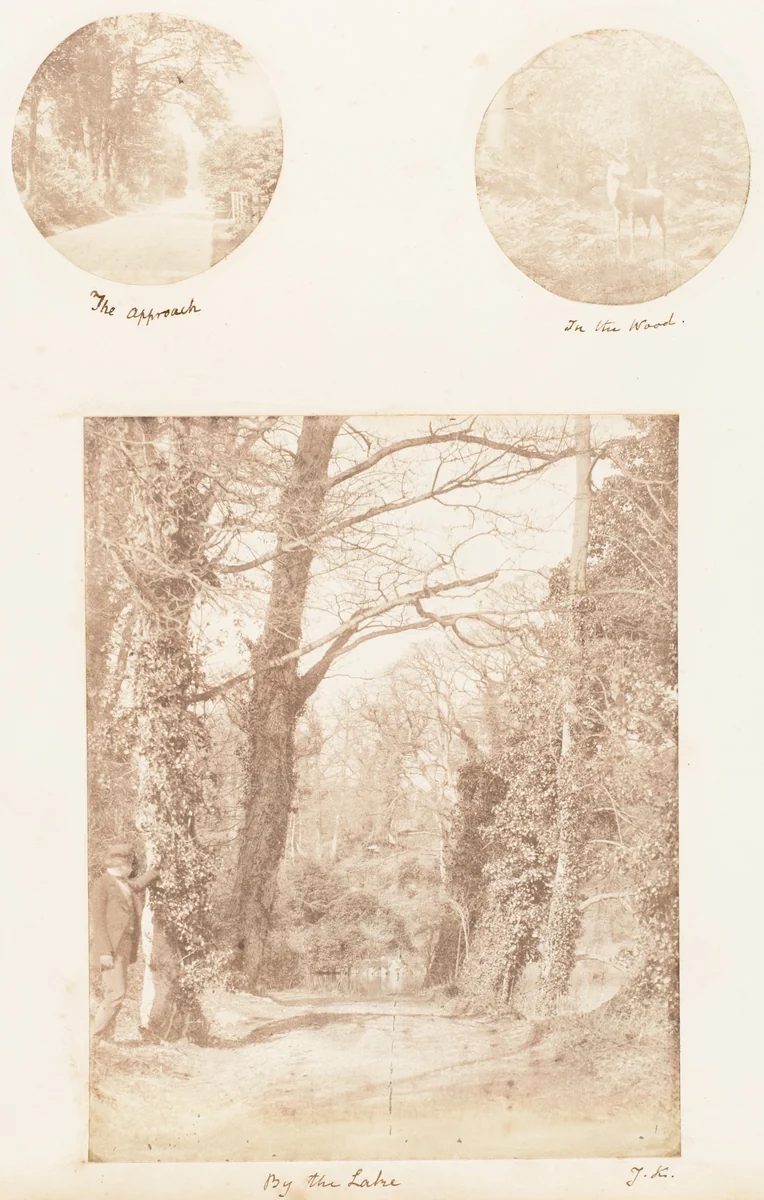 The Approach; In the Wood; By the Lake by James Knight, photograph, 1853-1856